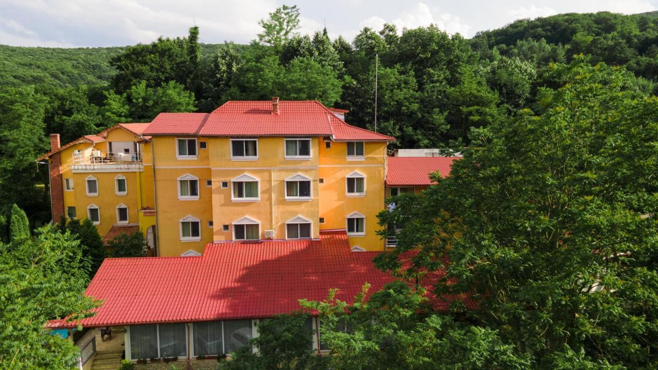 Aida Hotel Spa & Tratament Geoagiu Băi Zewnętrze zdjęcie